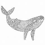 Alaskan Wildlife sketch template