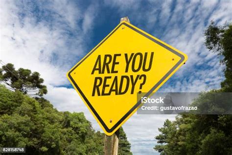 ready images pictures  royalty  stock  freeimagescom