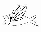 Pesci Volador Pez Volanti Peixe Voador Colorear Peix Disegno Desenho Dibuix Acolore Dibuixos sketch template