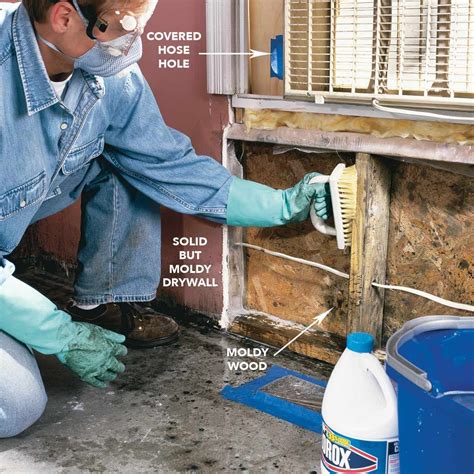 remove mold mold remediation  family handyman