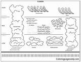Clouds Types Pages Coloring Atmosphere Color Online Printable Template Coloringpagesonly sketch template