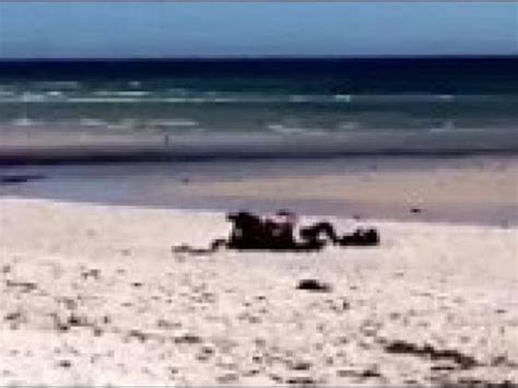 Shocking Video Shows Couple Having Sex At Popular Beach