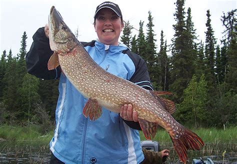 monster northern pike