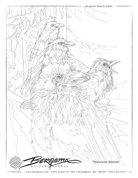 facebook bird coloring pages bird drawings coloring pages