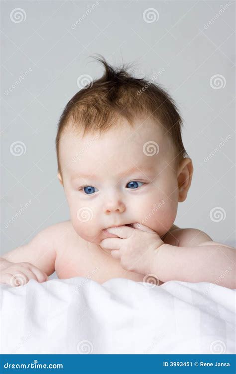 baby infant girl stock image image  innocence hands