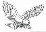 Eagle Coloring Pages Print Getcolorings Color sketch template