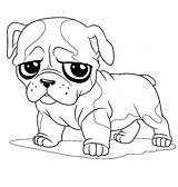 Bulldog Coloring Pages Cute Drawing Little English Pug French American Face Printable Line Color Bulldogs Sad Easy Getdrawings Bowl Inside sketch template