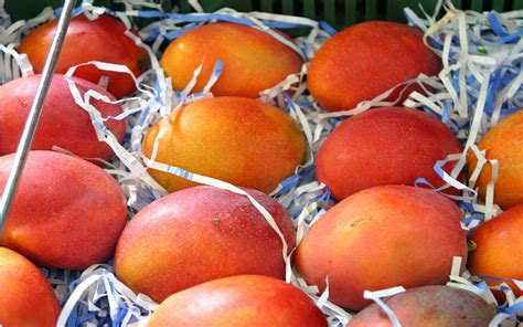 natural full hd mango hd wallpaper fruit wallpaper hd wallpaper orange fruit