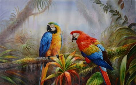 jungle parrots image abyss