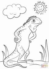 Coloring Cartoon Iguana Pages Lizard Printable A4 Categories Drawing sketch template