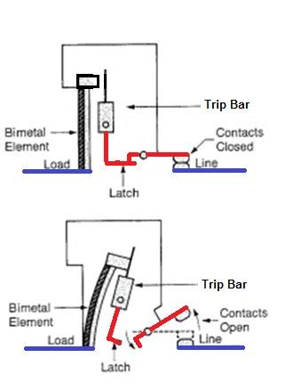 wiring main electrical circuit breaker  amp  tripping   branch circuit breakers