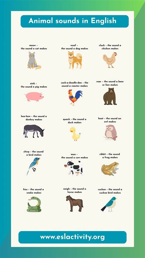 animal sounds  english list  common animal onomatopoeia