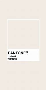 Gardenia Pantone 0604 Palette Palettes Ideawallpapers Tcx Paleta Nuancier Accessorize Whites Textures Primaires Combinaisons Tonos sketch template
