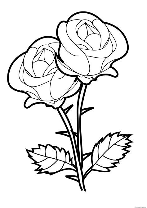 rose valentines day coloring page printable