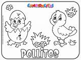 Pollitos Colorear Cancioncitas sketch template