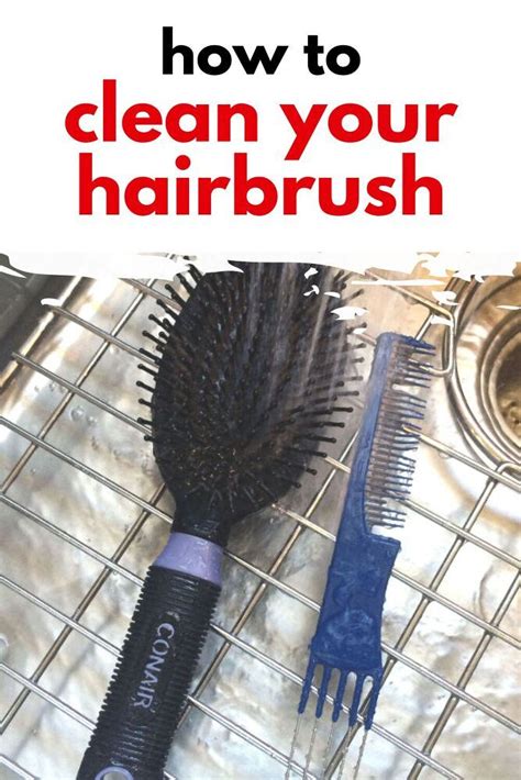 clean  hairbrush   cleaning clean hairbrush hair brush