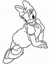 Duck Daisy Coloring Pages Kids Print Color sketch template