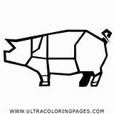 Coloring Pages Pork Fat sketch template