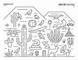 Sonoran Biome Biomes Colorir Cacto sketch template