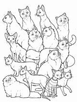 Cats Colouring Group Deviantart Pdf Appears Browser Support Web Don sketch template
