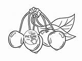 Coloring Pages Fruit Wuppsy Kids Fruits Printables Cherries Leaves sketch template