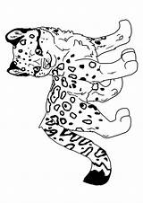 Coloring Leopard Pages Baby Snow Momjunction Frank Lisa Books Kids sketch template