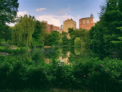 central park  york city parks attractions city guide