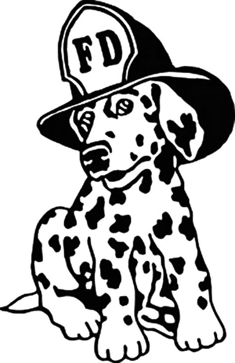 dalmatian fire dog coloring pages coloring home