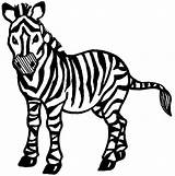 Zebra Coloring Clipartmag Marvelous Getdrawings sketch template