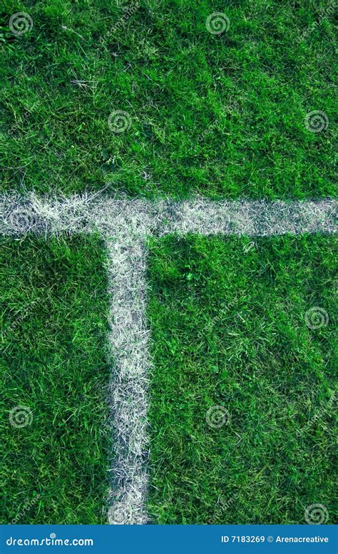 field lines stock image image  football pitch ground