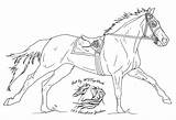 Lineart Racehorse Thoroughbred sketch template