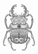 Zentangle Beetle Mandala Coloriage Colorier Scarabee Adulte Coloriages Colorare Beetles Insectes Scarabée Sublime Mandalas Insetti Armadillo 123rf Coloringbay Arthropod Bug sketch template