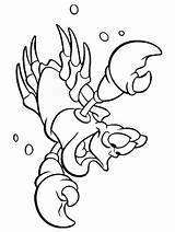 Crab Coloring Pages Coloring2print sketch template