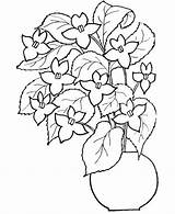 Colorat Kwiaty Kolorowanki Flori Primavara Planse Valentine Cu Darmowe Druku Viorele Desene Dzieci Musetel Drzewa Universdecopil Kwiatami Vines sketch template