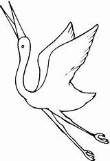 Colorare Gru Grullas Kranich Grulla Immagini Volo Disegni Birds Ausmalbilder Disegnare Cranes Drawings sketch template