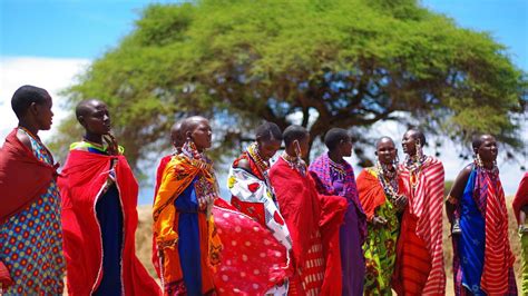 famous maasai tribe battles  legal rights     verge