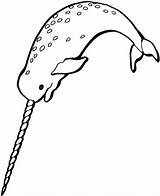 Narwhal Narwhals Everfreecoloring Netart Stencils sketch template