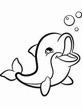Dolphin Dolfijn Infantis Vind Jouw sketch template