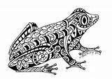 Frog Zentangle Coloring Frogs She sketch template