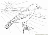 Crow Thirsty sketch template