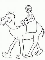 Camelo Desenho Deserto sketch template