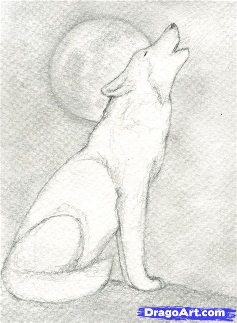 How To Draw A Howling Wolf Step By Step Realistic