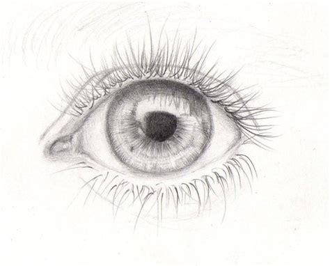 Amazing Drawing Eye Lovely Pencil Image 110821 On