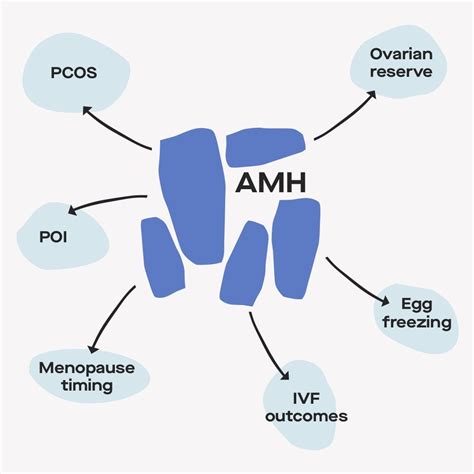 modern fertility at home fertility ovulation and pregnancy testing