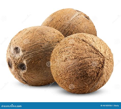 kokosnuss stockfoto bild von tropisch foto nahrung