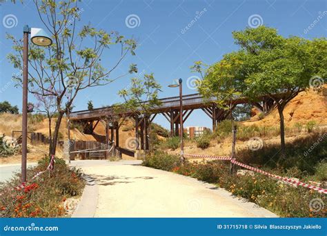 large park  spain stock photo image  path landscape