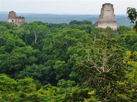 maya ruins  tikal returned   jungle  solstice beginning