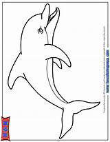 Dolphin Coloring Bottlenose Cartoon Pages Cliparts Designlooter Drawings 61kb Library Clipart sketch template