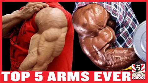 the best arms in bodybuilding top 5 youtube