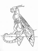 Wyvern Caracals Cicada Poison Colouring sketch template